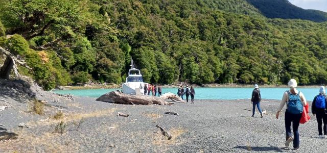 MAYO SPIRIT TREK