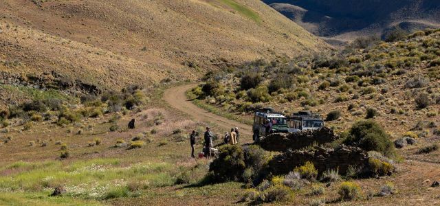 SAFARI EXPERIENCE