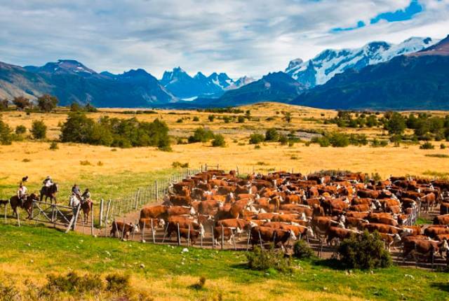 ESTANCIA NIBEPO AIKE