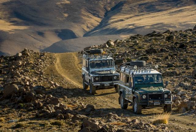 SAFARI EXPERIENCE